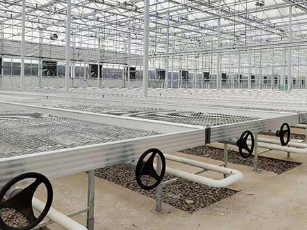 䓰�W(w��ng)Ƭ�Ƅ�(d��ng)�紲